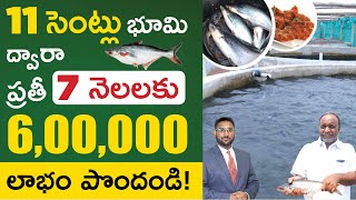 RAS Fish Farming In Telugu  How To Start Pangasius Fish Farming in RAS System  Kowshik Maridi [upl. by Corabella]