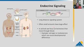 BIOL201 Ch91 Signaling Molecules and Cellular Receptors  OpenStax Biology [upl. by Chud406]