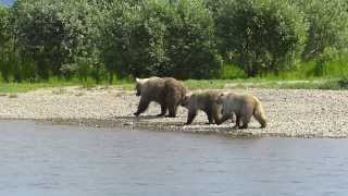 Float Trip Moraine Creek Alaska 2013 [upl. by Eentruoc]