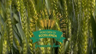 Percorsi di Eccellenza BASF 2018 – Frumento Duro [upl. by Welch646]