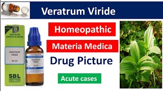 Veratrum Viride Homeopathic Medicine  Drug Picture  Materia Medica bhms [upl. by Tymon]