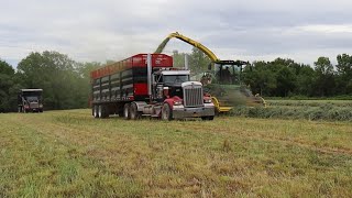 Mas Silage trailer the first load [upl. by Sapphira]