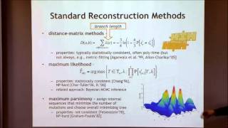 Phylogenetics [upl. by Tamis]