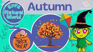 All About Autumn for Kindergarten  EYFS [upl. by Aicelet586]