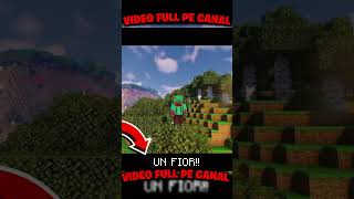 minecraft minecraftromania gaming newtimes [upl. by Eisoj]