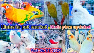 Uluberia pet market  Birds pirce updated 06012024 Uluberia pakhir haat cheapest viral sale [upl. by Azmuh498]