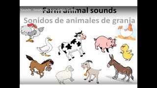 Animal Farm Sounds Rooster Cow Chicken Pig Horse Donkey Sheep  Sonidos de Animales de Granja [upl. by Quintie]