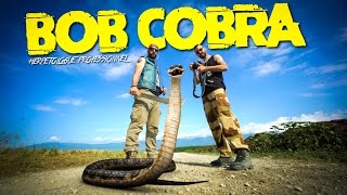 BOB COBRA EXPERT EN REPTILES [upl. by Yaniv694]