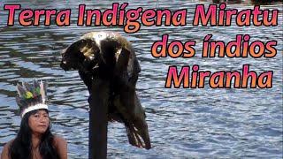 Aldeia Tapereira dos índios Miranha Terra Indígena Miratu lago de Uarini estado do Amazonas [upl. by Heinrike]