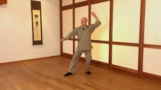 Chang Si Jing Die Kraft des Seidenspinnens Taoistisches QiGong [upl. by Lehctim]