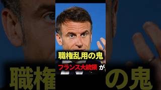 フランス大統領が愛した意外すぎる日本の文化 マクロン 雑学 ゆっくり解説 大統領 [upl. by Aicre]