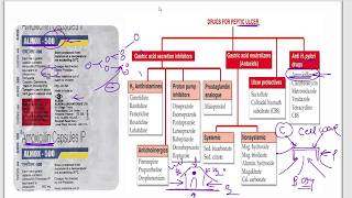 Amoxicillin  Azithromycin  Ciprofloxacin  Cefpodoxime  Moxifloxacin  Cotrimazole  Mechanism [upl. by Aretha]