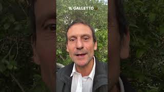 Il galletto🤣 [upl. by Sigismundo867]