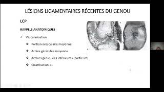 Rappels anatomiques concernant le LCP  Extrait de la préparation des EVC de chirurgie orthopédique [upl. by Gildea]