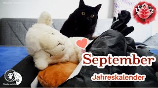 Jahreskalender September  Sockenwolle  Maschenschäfchen [upl. by Cammy]