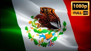 Mexico flag video waving in wind Realistic Mexican Flag background Mexico flag Full HD [upl. by Ivon]