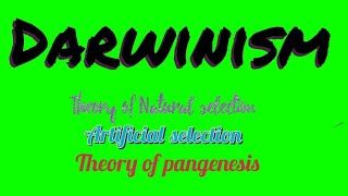 Darwinism  Theories of evolution Theory of pangenesis Artificial selection Natural selection [upl. by Airretnahs]