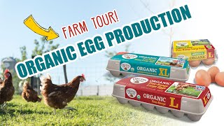 Organic Egg Farm Tours  Organic Valley [upl. by Ellatnahc]