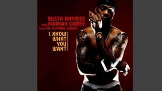 Busta Rhymes amp Mariah Carey  I Know What You Want Clean [upl. by Aredna366]