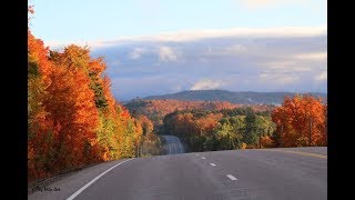 Fall in Algonquin Park  Algonquin Provincial Park [upl. by Fevre]