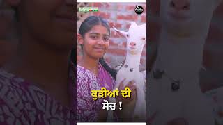 ਕੁੜੀਆਂ ਦੀ ਸੋਚ  Saanen Goat Farming Saanen goatfarming bakri bakrifarm goat shorts [upl. by Annodas33]