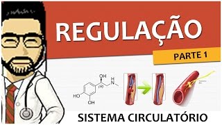 Sistema Circulatório 06  Regulação  Parte 1 Vídeo Aula [upl. by Anelej]