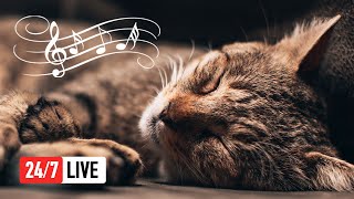 🔴 Relaxing Music for Cats LIVE 247 Peaceful Piano Music with Cat Purring Sounds [upl. by Demetre]