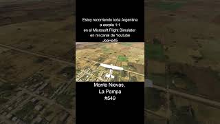 Comenten por donde quieren que pase 🇦🇷 montenievas lapampa argentina microsoftflightsimulator [upl. by Ulah]