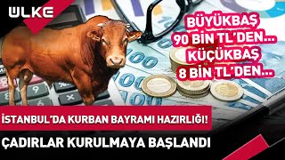 İstanbulda Kurban Bayramı Hazırlığı Çadırlar Kurulmaya Başlandı İşte Güncel Fiyatlar haber [upl. by Inacana899]