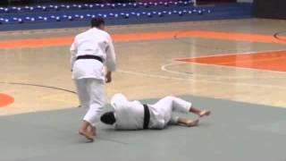 Amsterdam 30 August 2015  Tenjin Myōshin Ryū heihō jūjutsu [upl. by Otrebor]