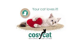 Cosycat clumping litter [upl. by Aiam]