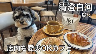 【清澄白河】大人気カフェikiの系列店iki RoasteryampEateryで朝活☕️ [upl. by Fital604]