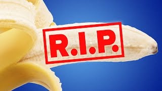 Are Bananas Going Extinct [upl. by Filia]