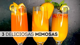 3 DELICIOSAS MIMOSAS  Como hacer las mejores mimosas [upl. by Inobe]