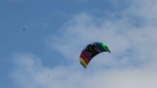 Dunstable Downs Kite Festival 30  7  2017 [upl. by Minnie]