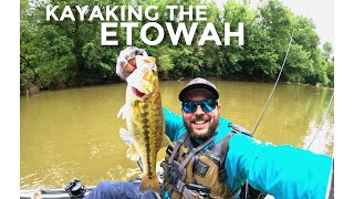 Upper Etowah River Fishing [upl. by Ruomyes283]