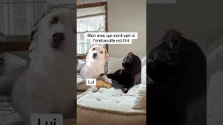 Tu fais plus la gueule bb  humour [upl. by Jeanelle]