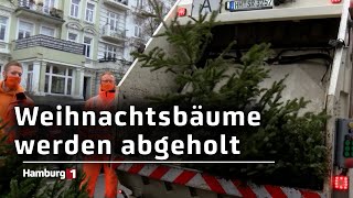 Stadtreinigung holt Weihnachtsbäume ab Das sind die Termine für ihren Stadtteil [upl. by Atirabrab]