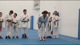 sessione desame per il centro studi karate [upl. by Ahsoik709]