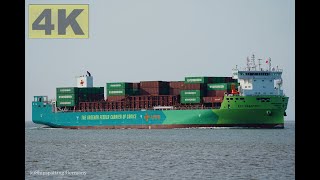 ECO MAESTRO  Shipspotting Germany 🇩🇪 IMO 9985942  River Elbe near City Otterndorf  4K VIDEO [upl. by Noemad]