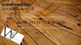 woodworking  79 how to spalt wood 2 part 2 of 3 [upl. by Lema]