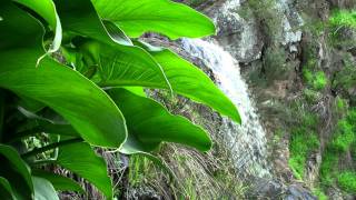 Ingalalla Waterfalls  Yankalilla South Australia [upl. by Anilatsyrc]