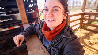 Welcome to the Farm Adding to the flock  VLOG [upl. by Henrie]