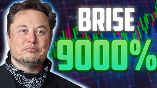 BRISE A 9000 IS FINALLY HERE  BITGERT MOST REALISTIC PRICE PREDICTIONS [upl. by Ilak590]