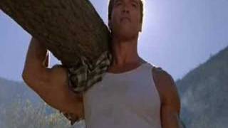 Arnold Schwarzenegger CARRIES 3000 KG WOOD [upl. by Nekcarb]