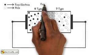 How does a Diode Work A Simple Explanation  How Diodes Work  Electrical4U [upl. by Assirehc]