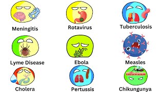 Every Infectious Disease Explained in 11 Minute or more [upl. by Hymie]