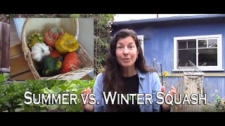 Summer Squash vs Winter Squash  When to Grow Them and Why [upl. by Mulligan]