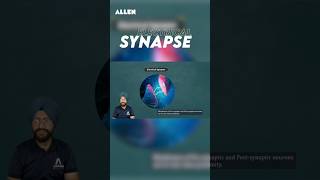 What is Electrical Synapse  Chemical Vs Electrical Synapse amp How It works Synapse shorts [upl. by Alyacim322]