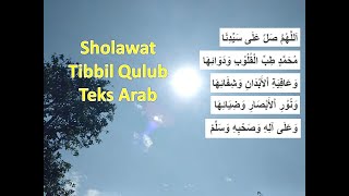 Tibbil Qulub Lirik teks arab dan terjemah [upl. by Auqinom314]